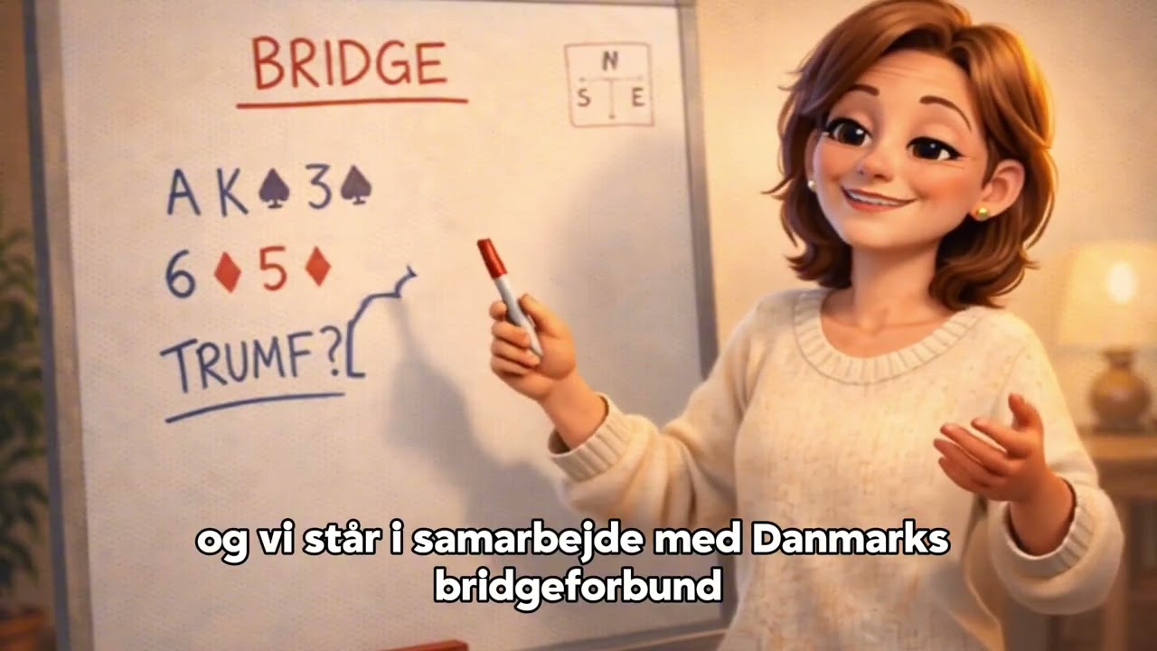 Begynderundervisning hos Cyberbridge
