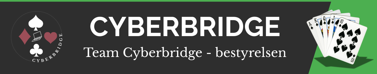Team Cyberbridge bestyrelsen (1)
