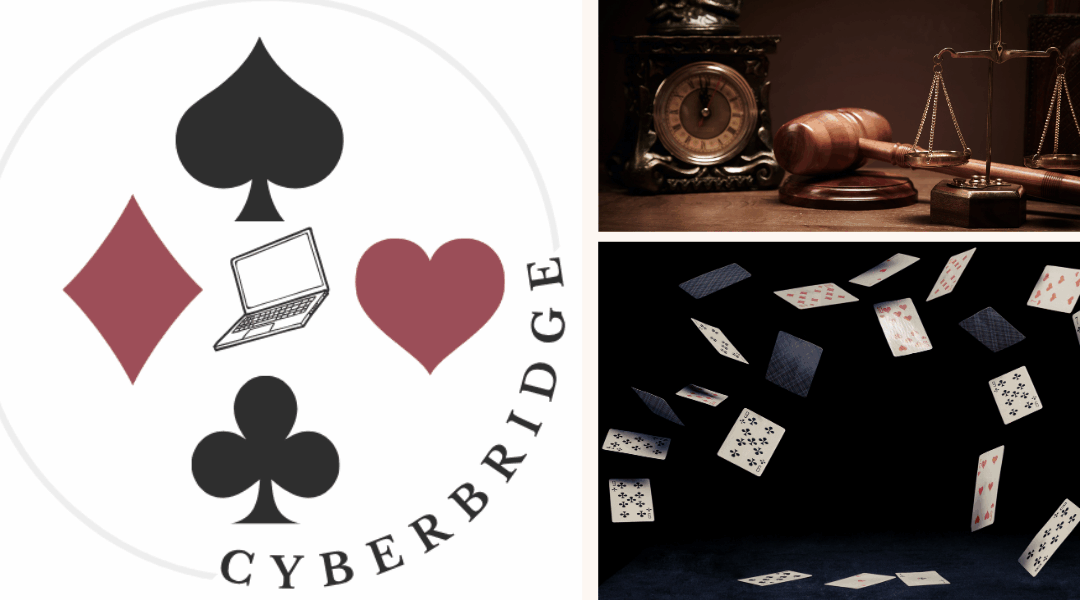 Loven om det totale antal stik