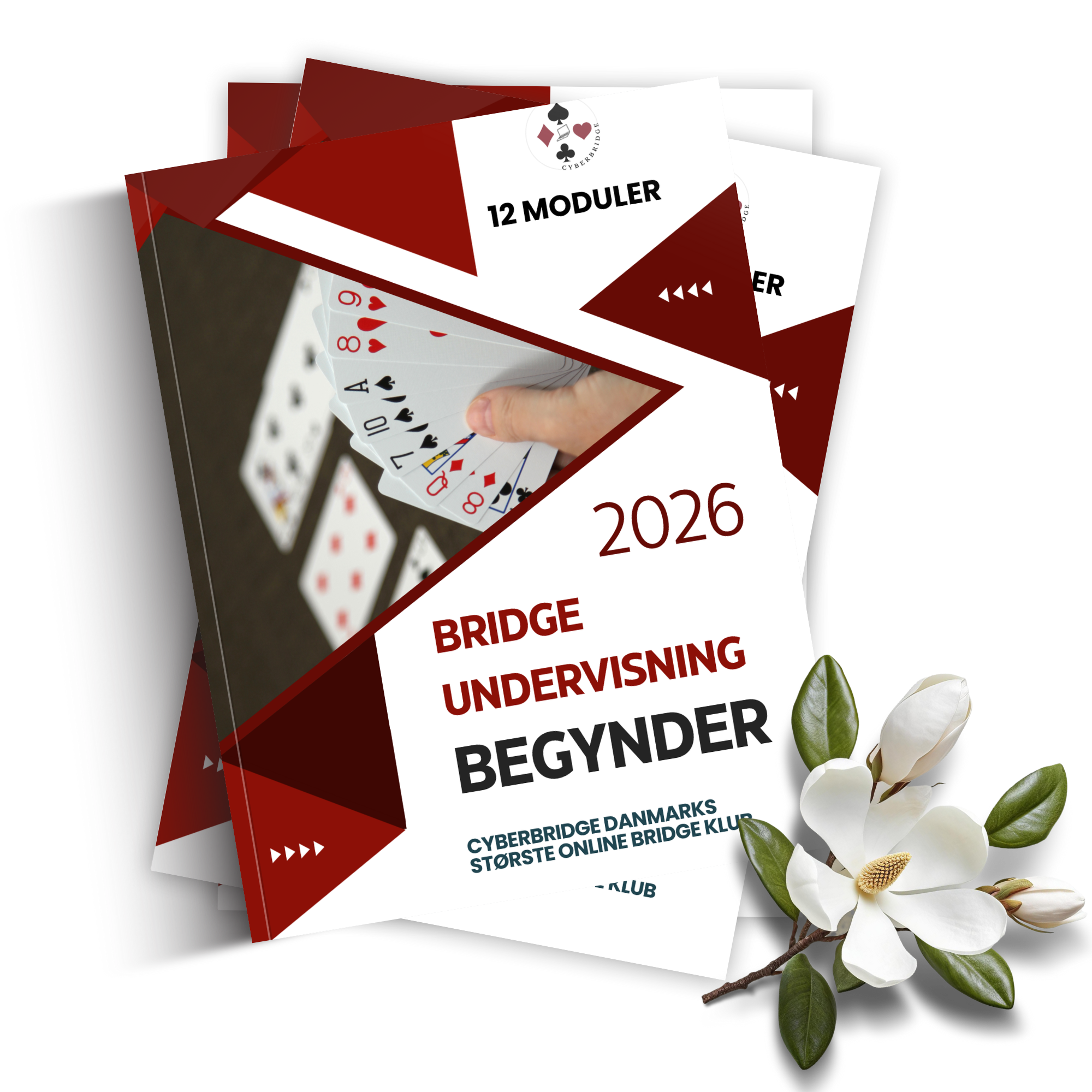 Begynderundervisning i bridge